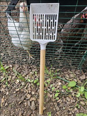 Chicken Pooper Scooper