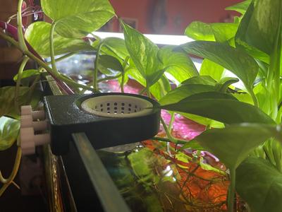 Fish tank water diffuser