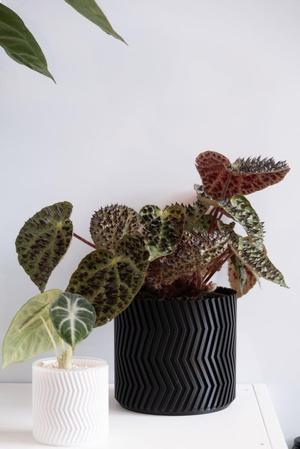 ZigZag vase mode flowerpot planter