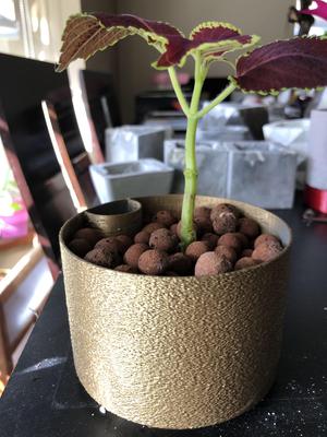 Minimal Material Selfwatering Planter