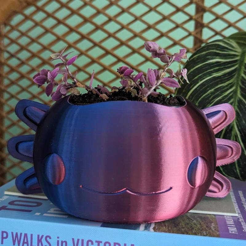 Axolotl plant pot