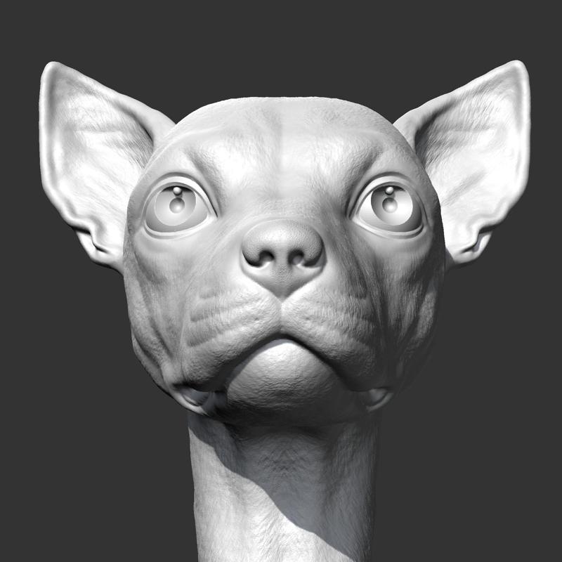 Miniature Pinscher Head AM37 3D print model