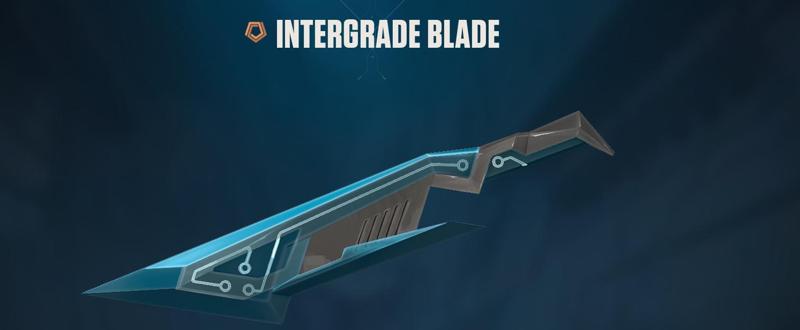 Valorant Intergrade Knife
