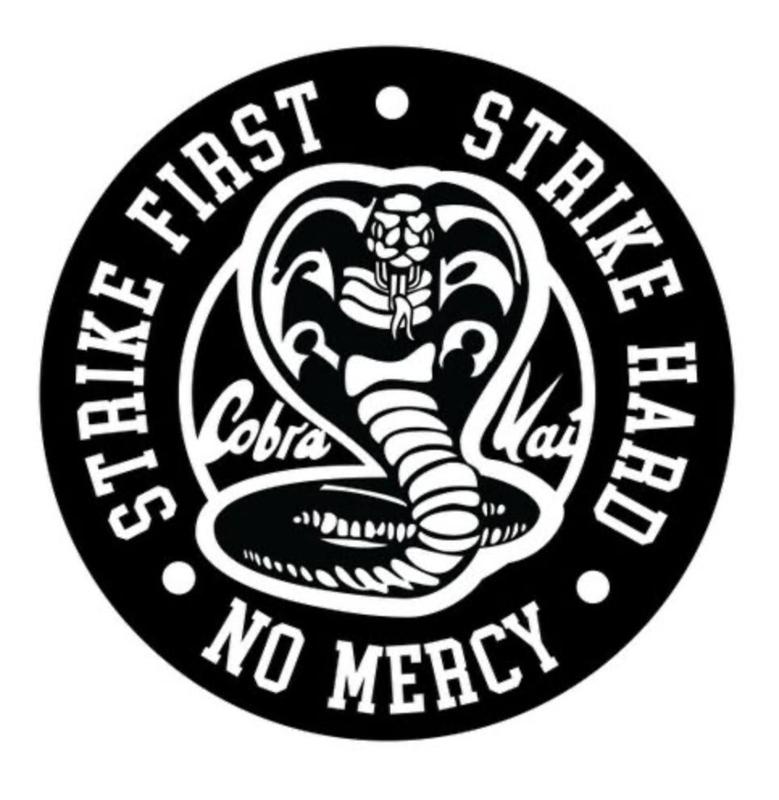 COBRA KAI KARATE KID