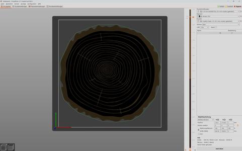 Oak-Treerings Wall Art