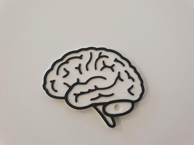 Brain keychain