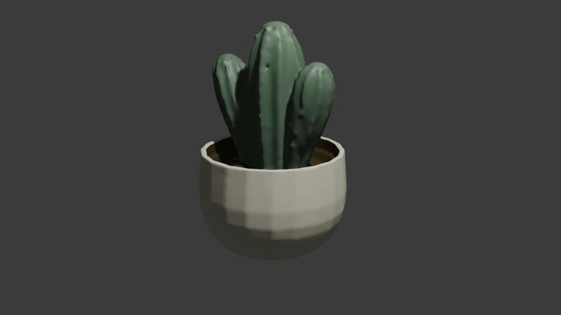 Cactus On A Pot