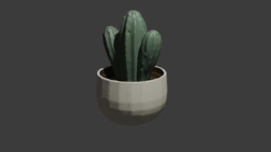 Cactus On A Pot