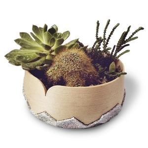 Umori Lom pot