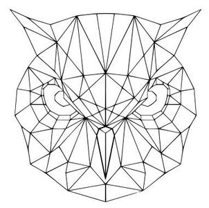Geometric Owl