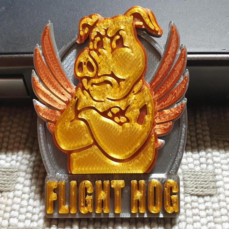 Flight Hog / Stick Pig Challenge Coin