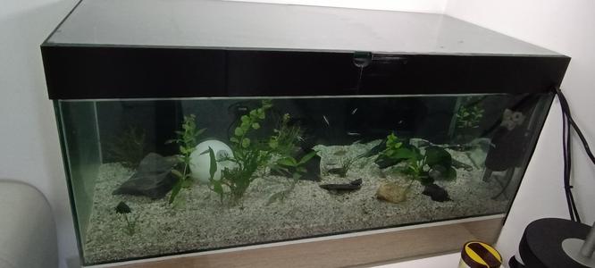 Aquarium cover for diy aquarium from ikea glass shelfs