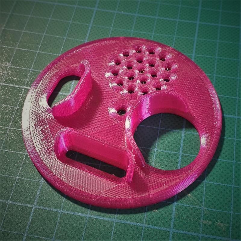 Bee Hive Entrance Gate