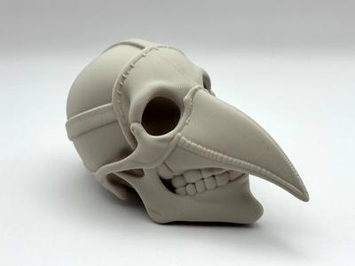 Plague Doctor Skull