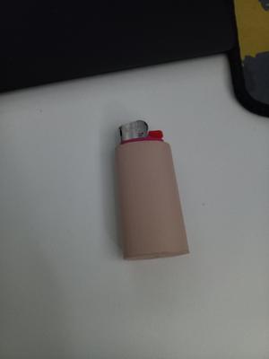 mini bic lighter case