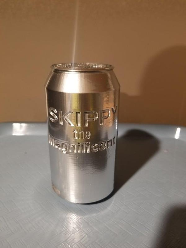 SKIPPY the Magnificent