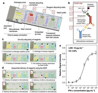Microfluidic ELISA chip