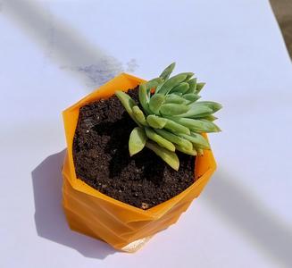 POT WITH CURVES