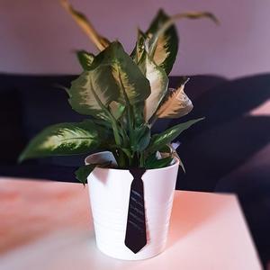 Planter Pot Tie MUSKOT