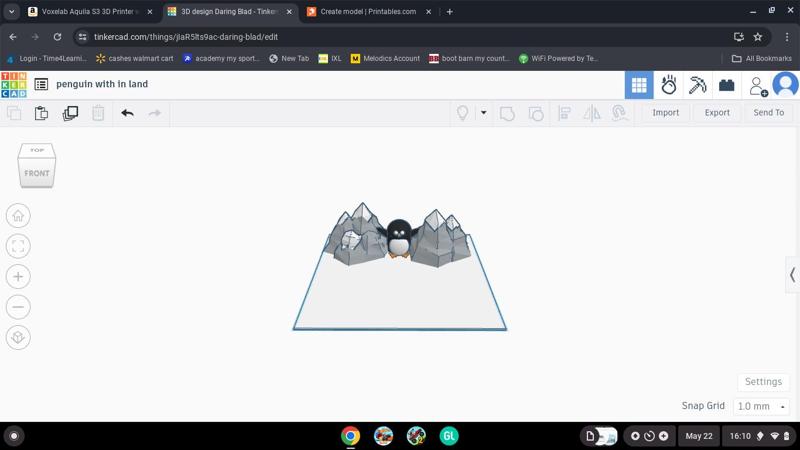 peinguine in his land