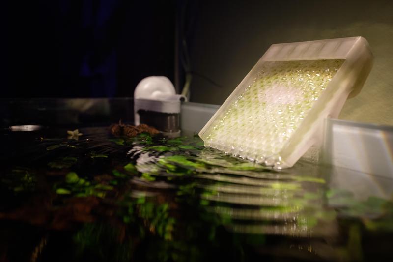 Rimless Aquarium Silent Waterfall Return (No Supports)