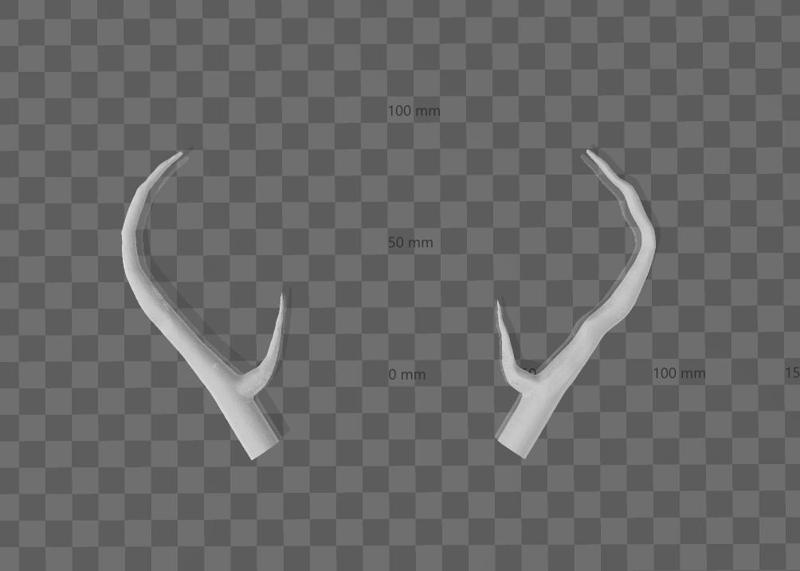 Small Deer Antlers