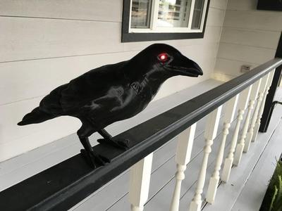 Halloween Crow