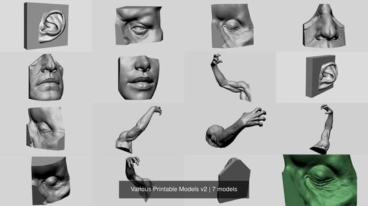 Various Printable Models v2 3D Model Collection