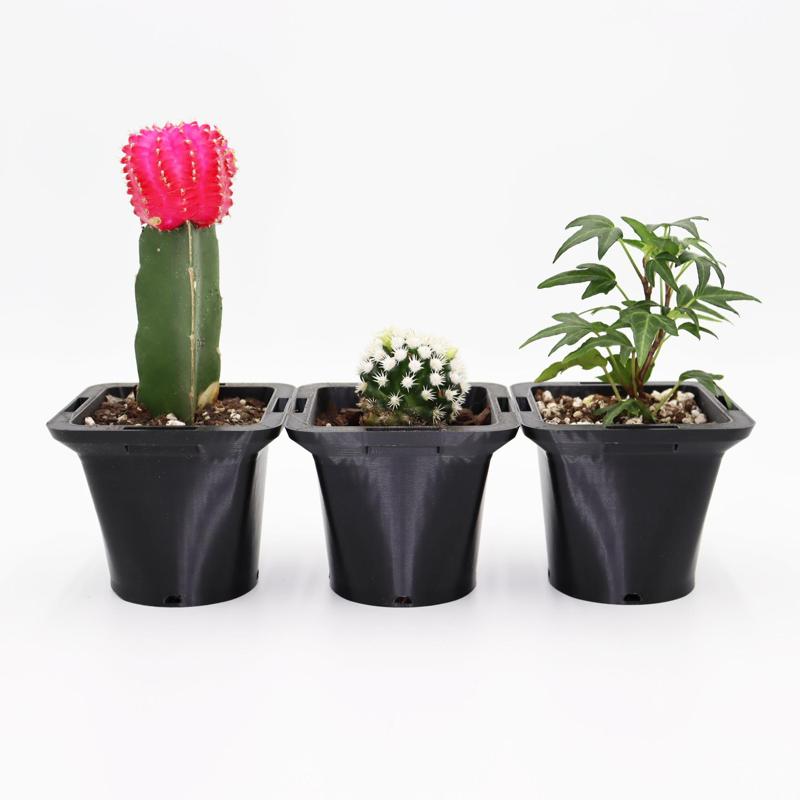 Nursery pots