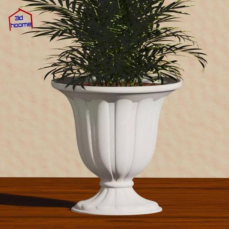 Ancient Vase