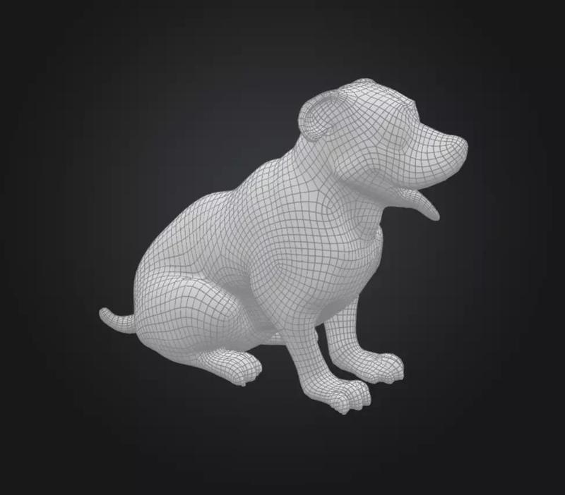 Pitbull Puppy no Texture