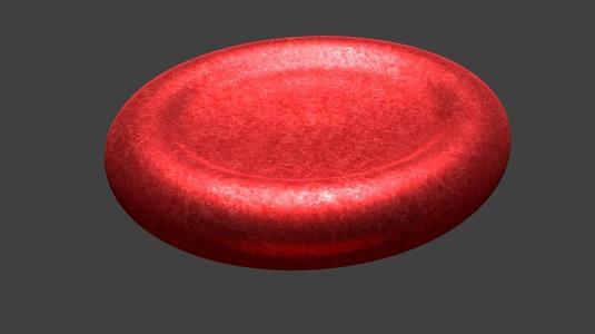 red blood cell