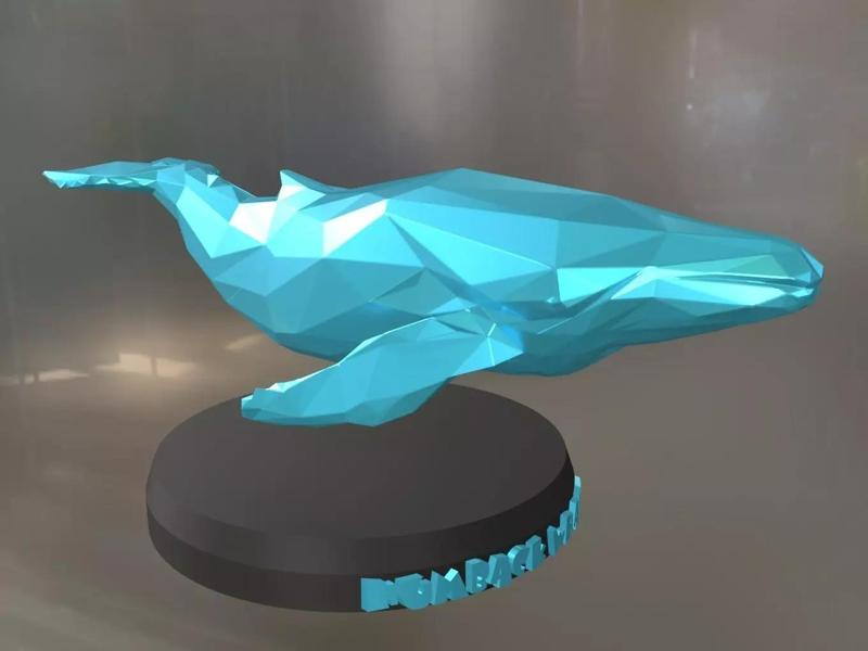 Poly Humpback Whale
