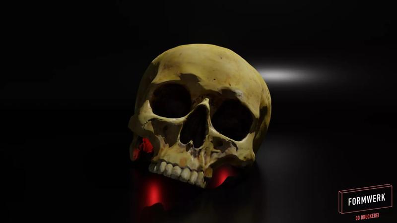 Skull