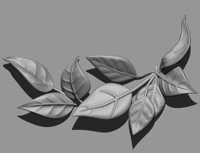 tree leaves