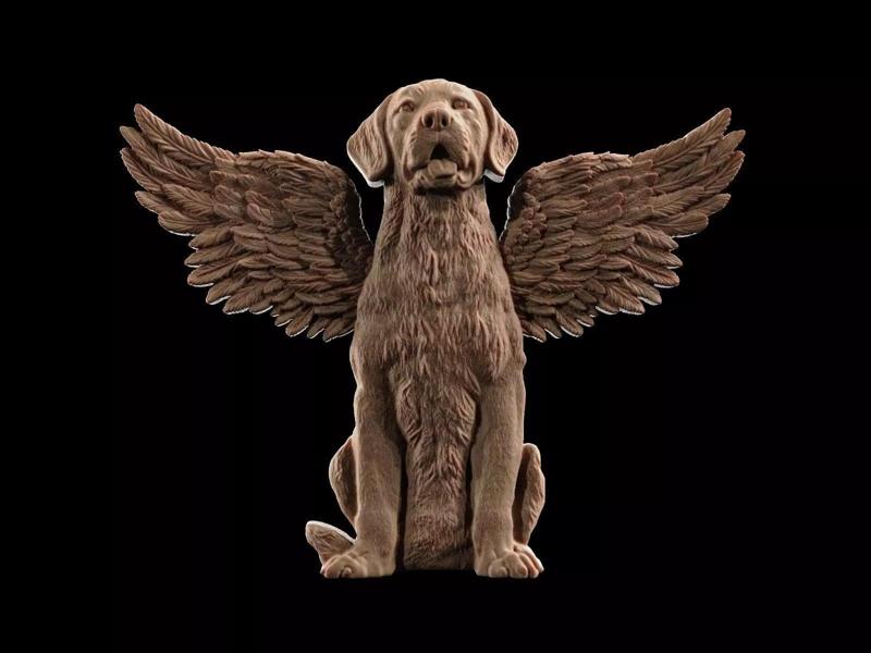 Winged Dog