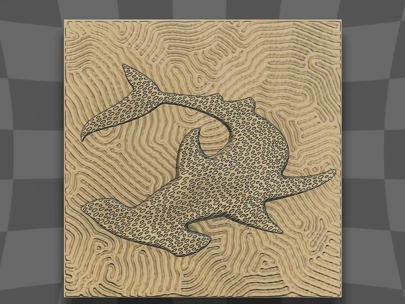 Hammerhead shark on the coral