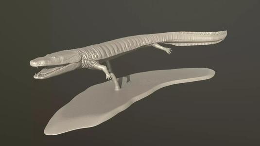 Greererpeton lizard
