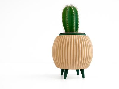 Angheio Succulent Planter 