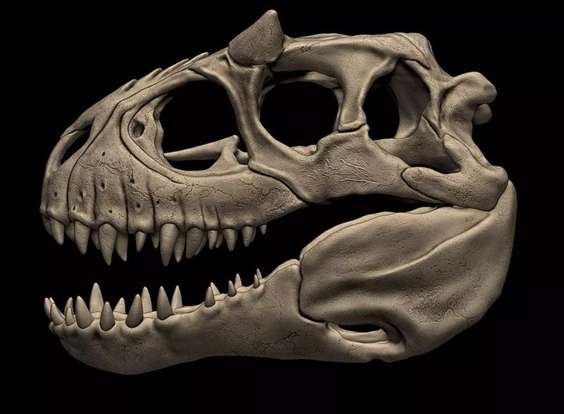Indominus Rex Skull
