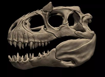 Indominus Rex Skull