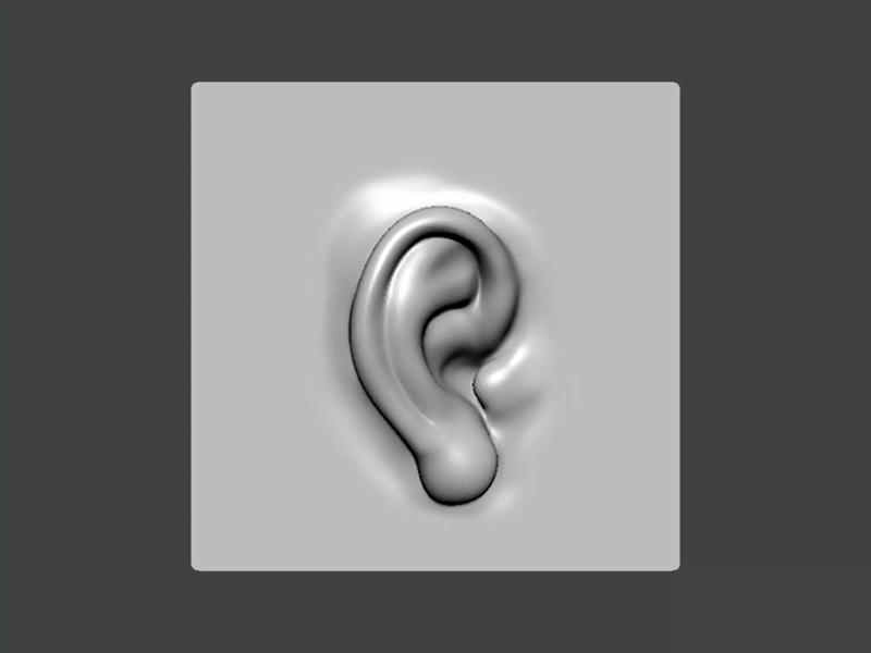 3D Model-EAR0001 ear
