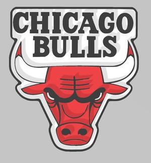 Chicago Bulls logo