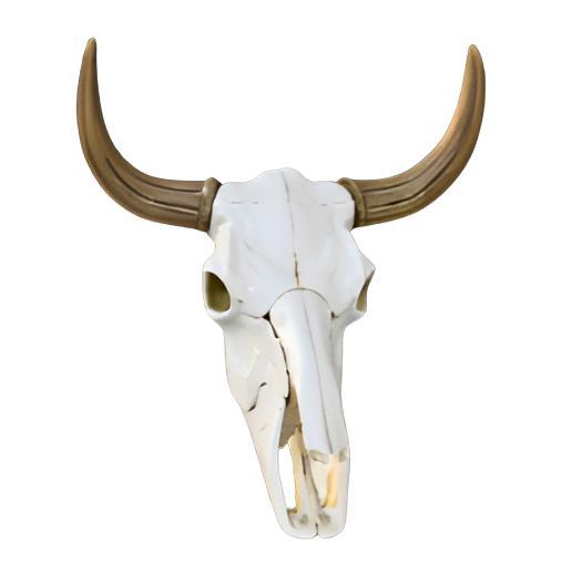 Bull Skull with Horns