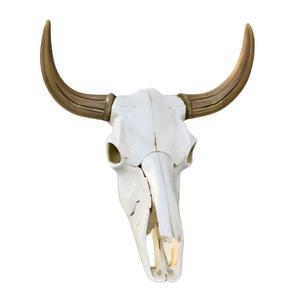 Bull Skull with Horns