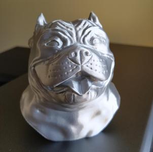 American Bully Bust
