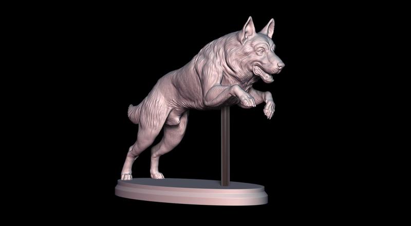 German Shepherd in the middle of jumping