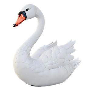 Royal Grace Swan
