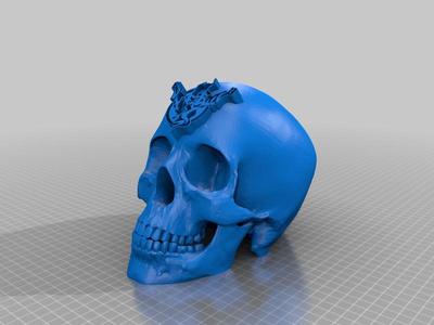 tunderdomeskull