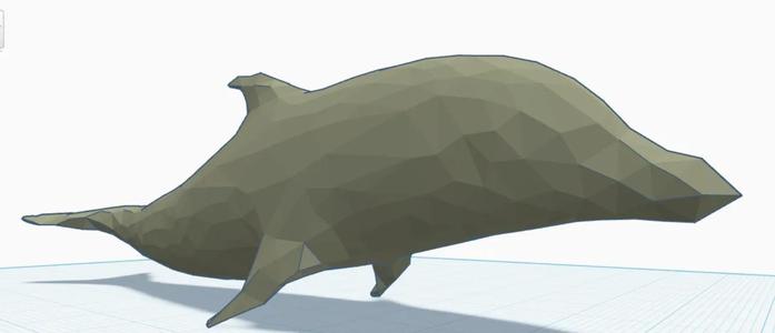 Delfin Geometrico   
